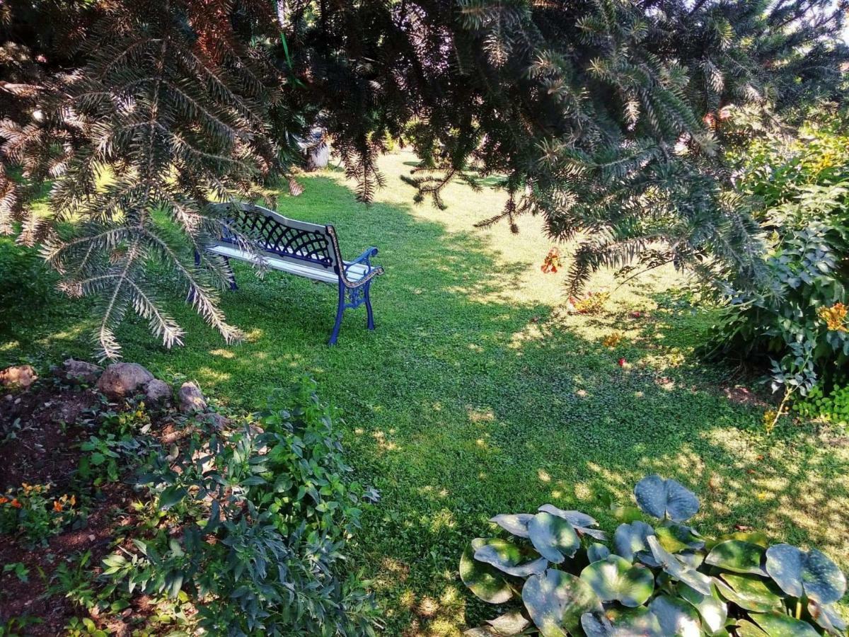 Villa Axiothea Nemea Exteriér fotografie
